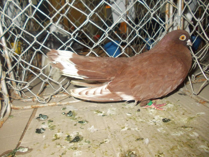 DSCN0344