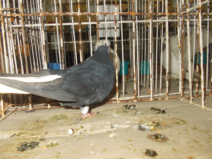 DSCN0350