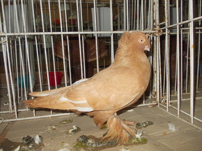 DSCN0359