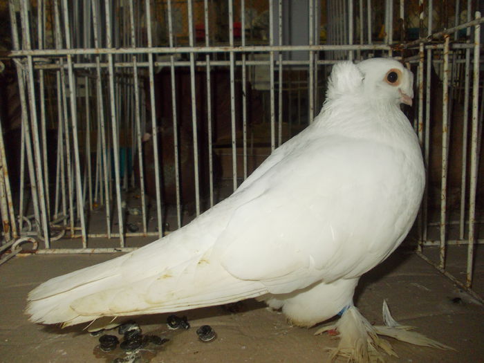 DSCN0360