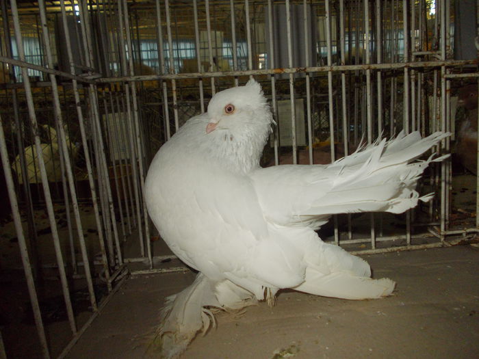 DSCN0372