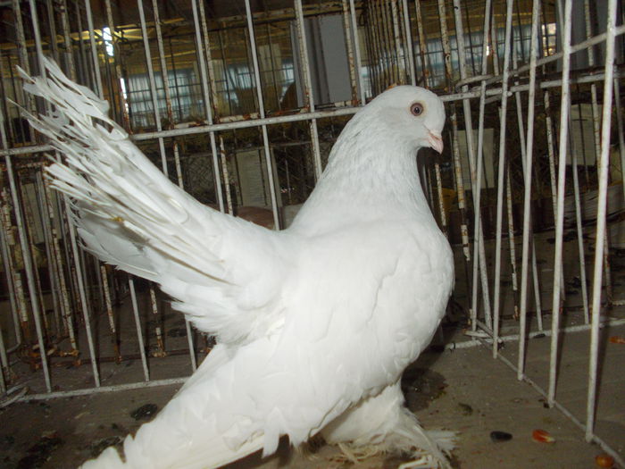 DSCN0373