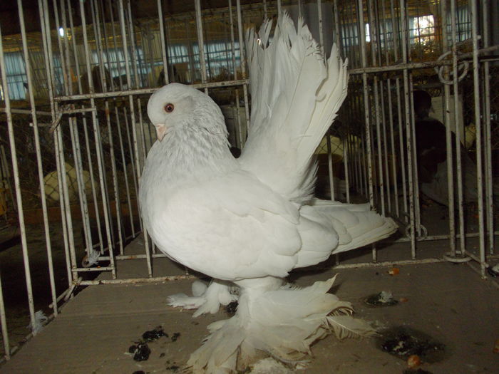 DSCN0375