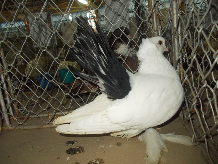 DSCN0382