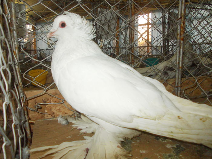 DSCN0394