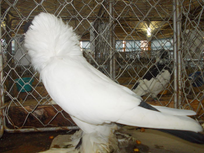 DSCN0407