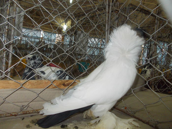 DSCN0409
