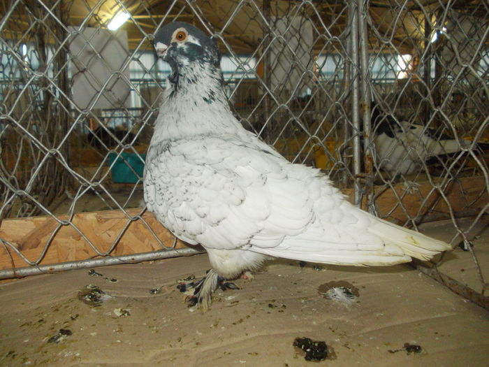 DSCN0421