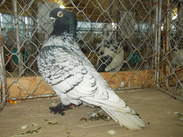 DSCN0422