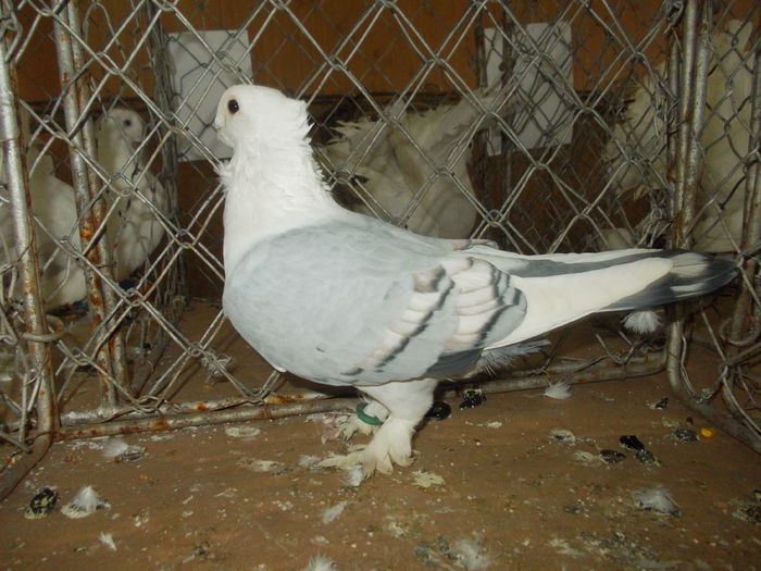DSCN0435