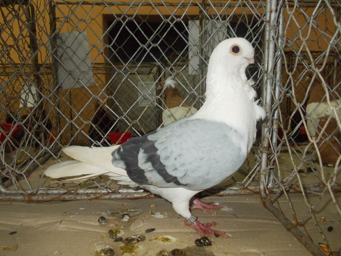 DSCN0440