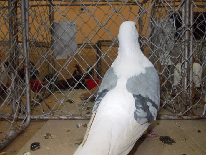 DSCN0443