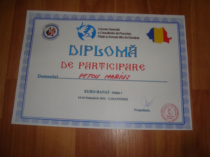 DSC07347 - Diplome expozitii