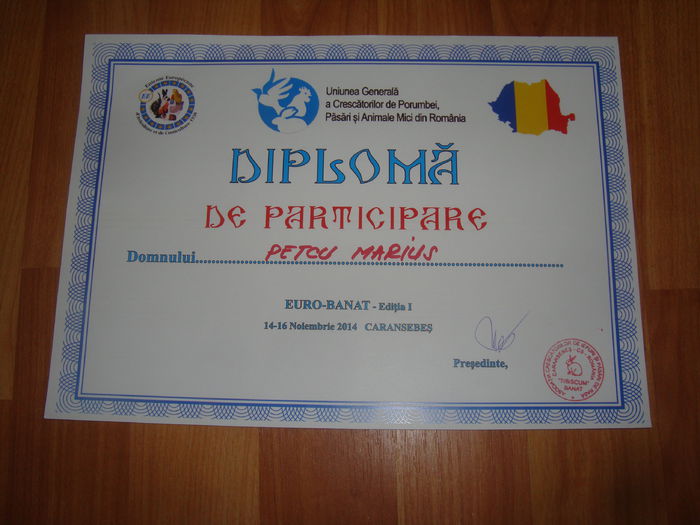 DSC07348 - Diplome expozitii