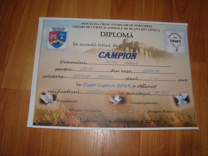 DSC07350 - Diplome expozitii