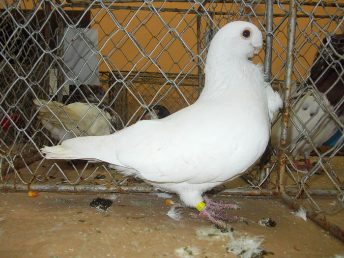 DSCN0447