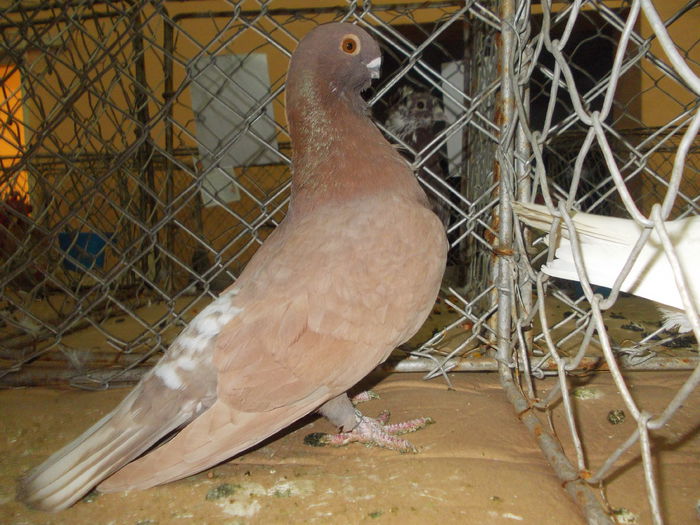 DSCN0452