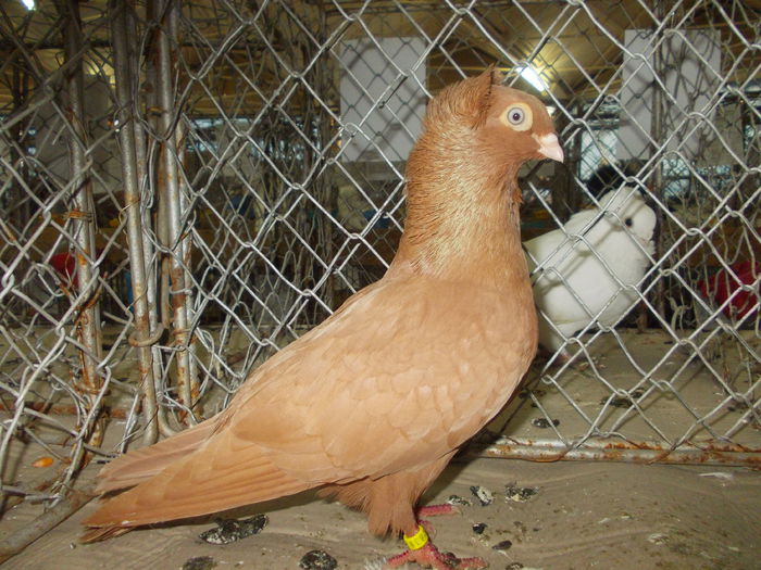 DSCN0459