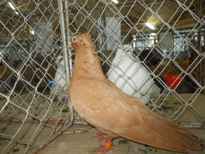DSCN0461