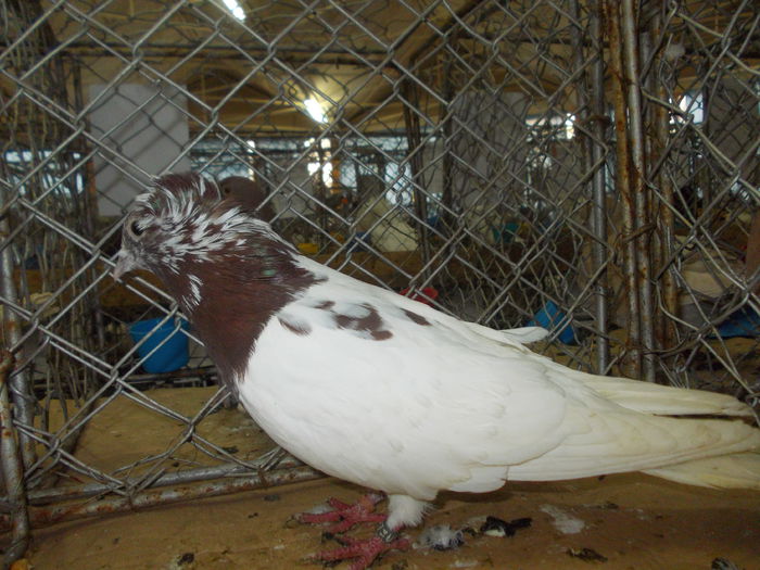 DSCN0463