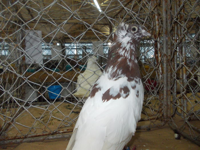 DSCN0465