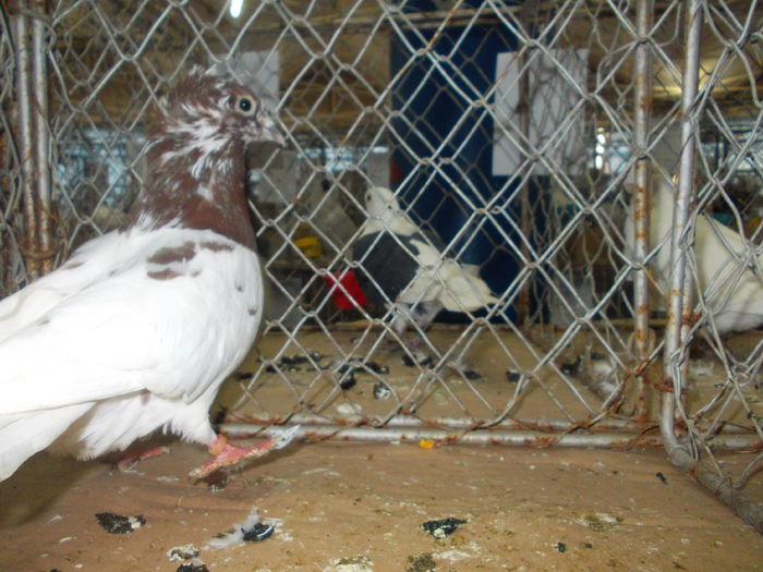 DSCN0469