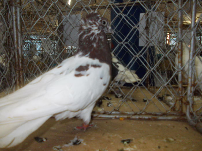 DSCN0470