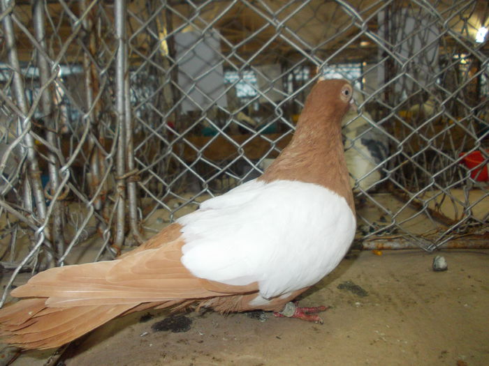 DSCN0475