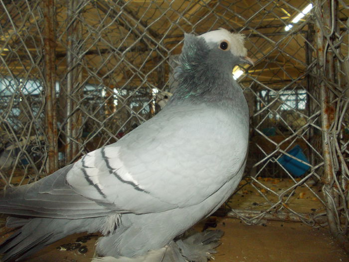 DSCN0479