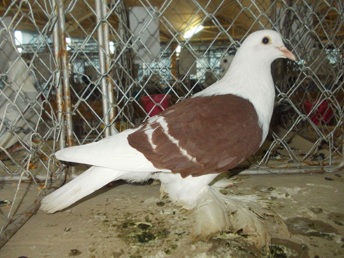 DSCN0484