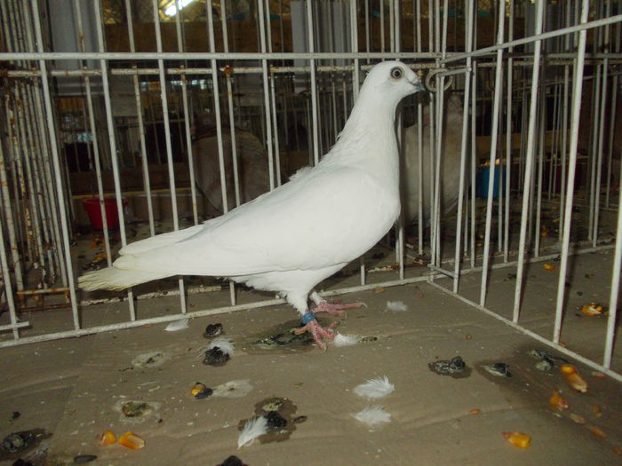 DSCN0498