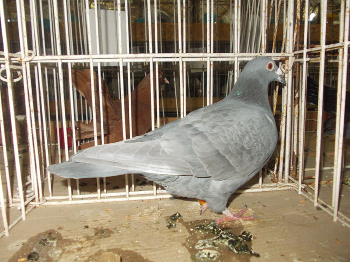 DSCN0500