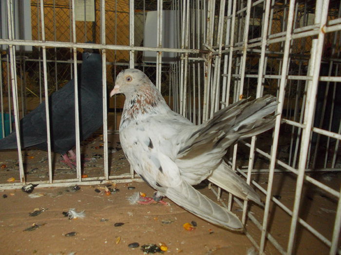 DSCN0503