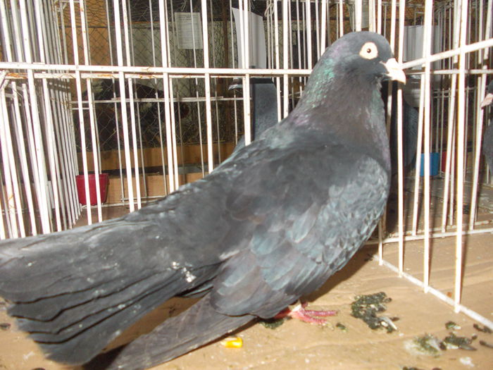 DSCN0504