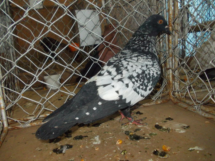 DSCN0516