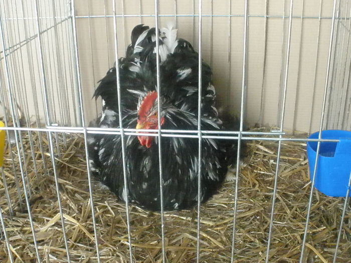 P1180044
