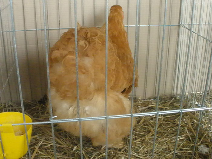 P1180049