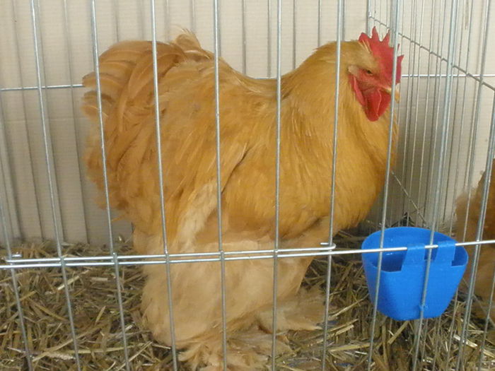P1180050