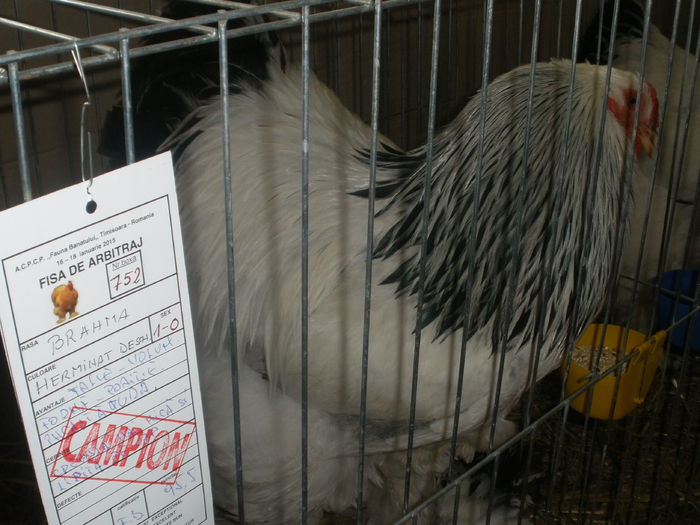 P1180100