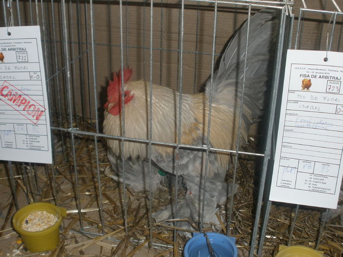 P1180107