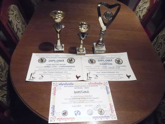 SAM_3591 - CAMPIONII MEI 2014-2015