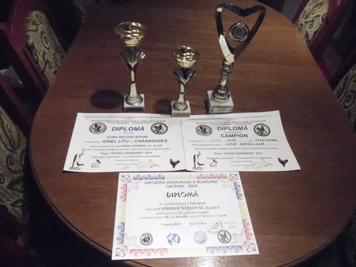 SAM_3592 - CAMPIONII MEI 2014-2015