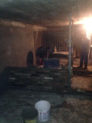 10933337_905066709526108_214855067_n