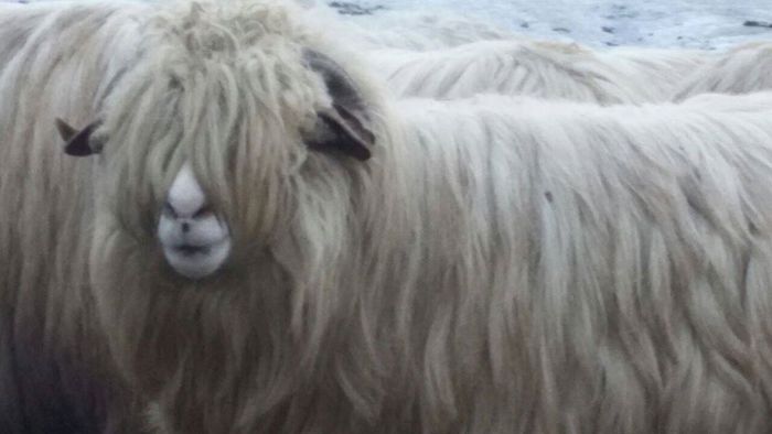 received_10152590033230913