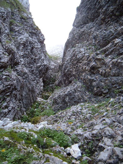 05_OSaritoarePe_Padina_Lancii - 65-Locuri de vizitat