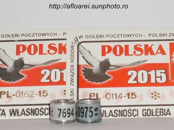 fci pl 15 - POLONIA -PL