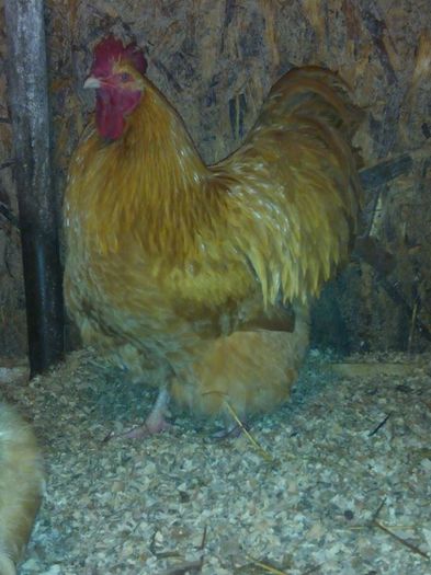 10430405_843583225699294_4892435500523766476_n