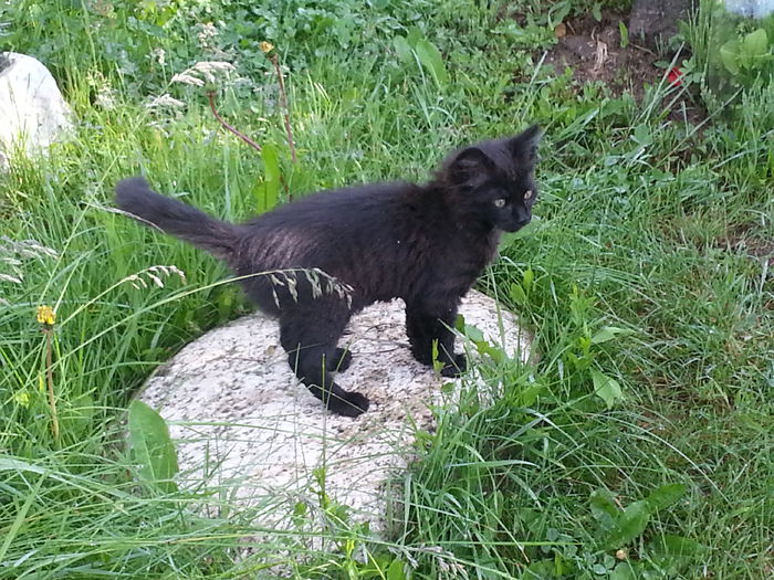 20140518_082600 - MAI IUNIE