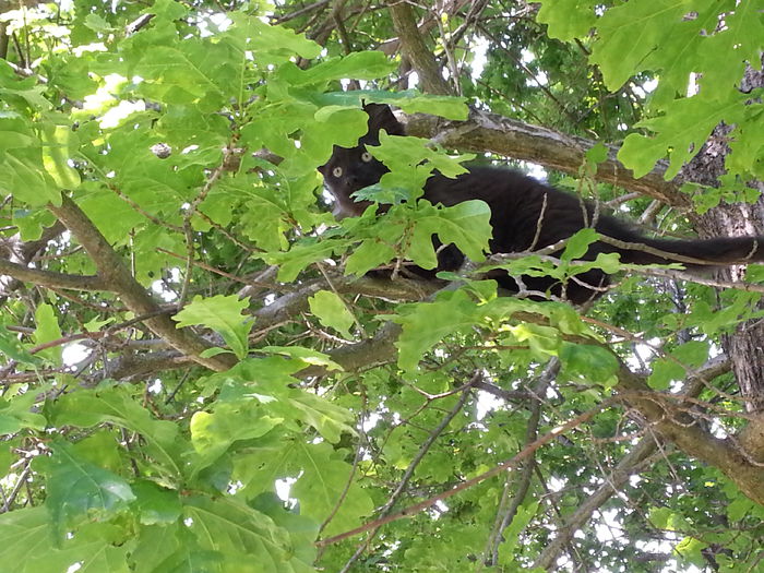 20140518_102542 - MAI IUNIE