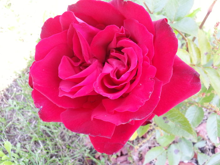 20140518_131913 - MAI IUNIE